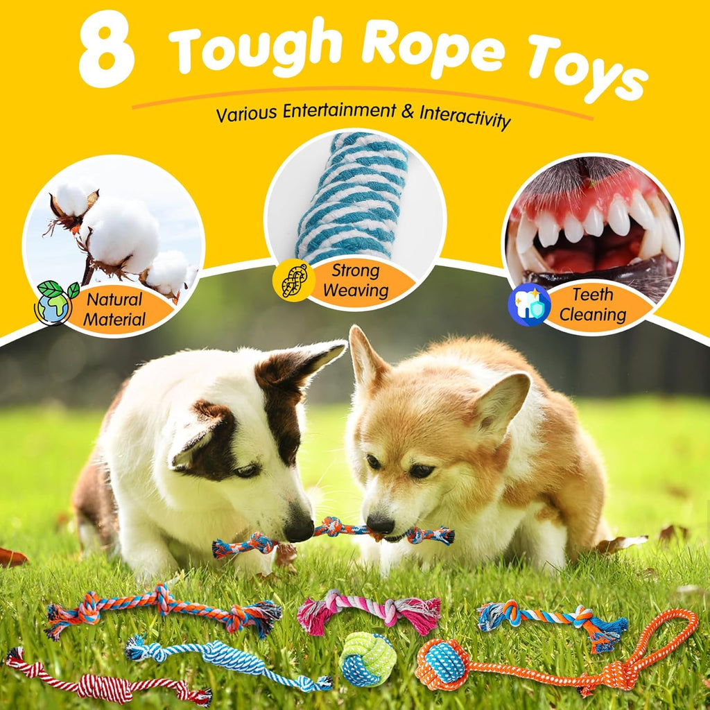 25-Pack Dog Chew Toys Set – Squeaky, Rope & Treat Ball Toys for Teething Puppies