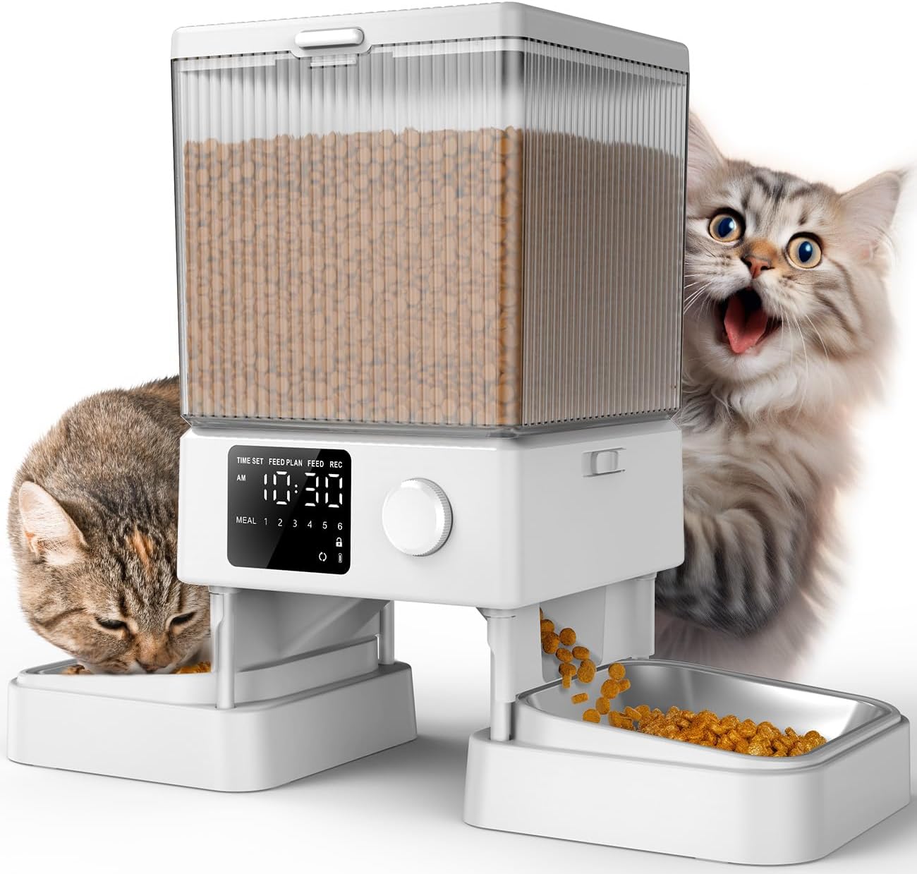 Automatic Cat Feeder for 2 Cats – 5L Timed Dry Food Dispenser with Dual Bowls