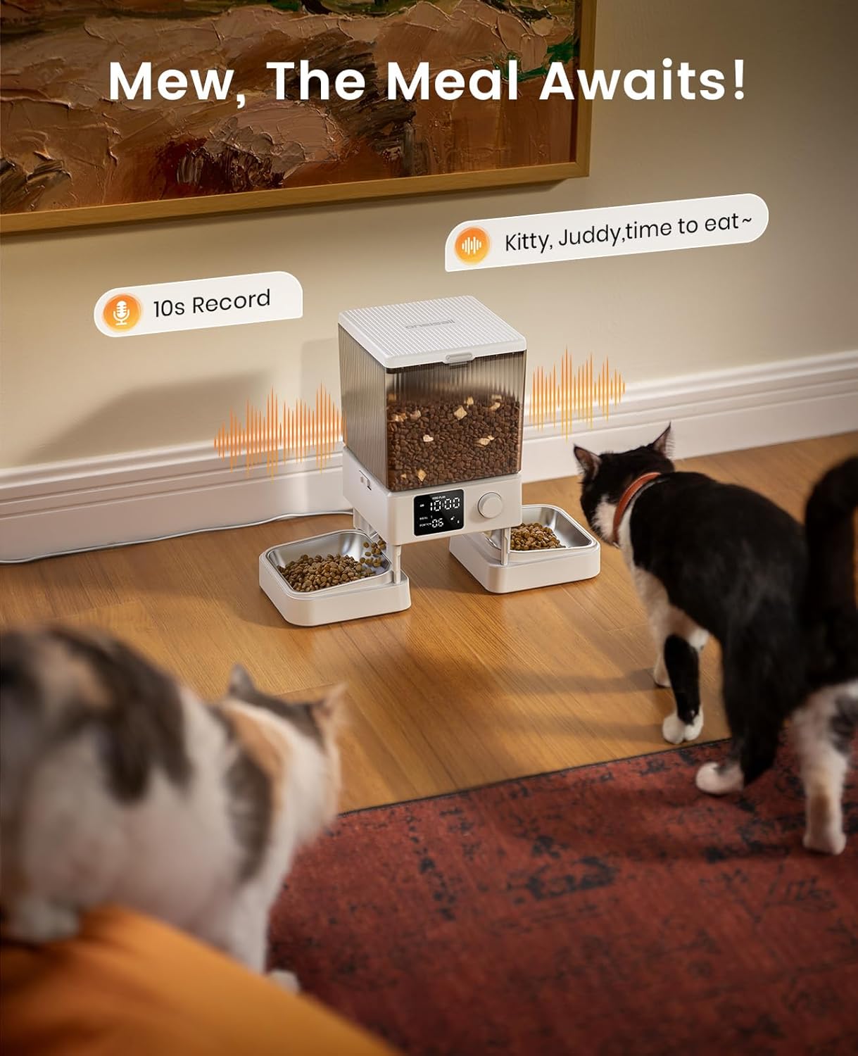 Automatic Cat Feeder for 2 Cats – 5L Timed Dry Food Dispenser with Dual Bowls