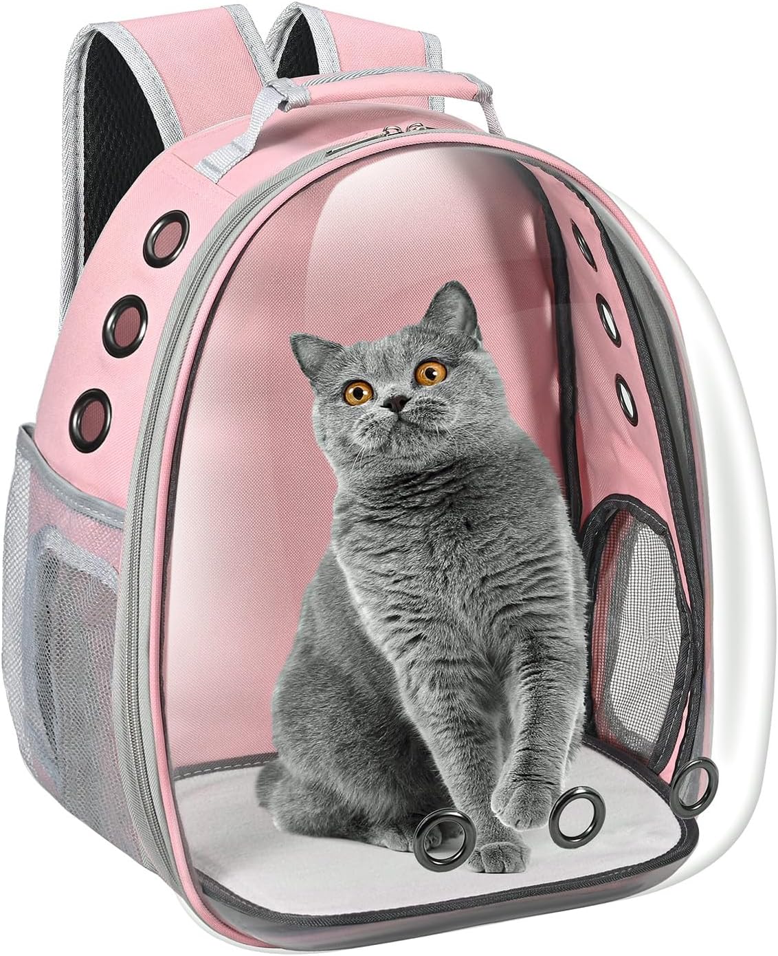 Bubble Window Pet Travel Backpack Carrier – Airline-Approved for Cats & Small Dogs