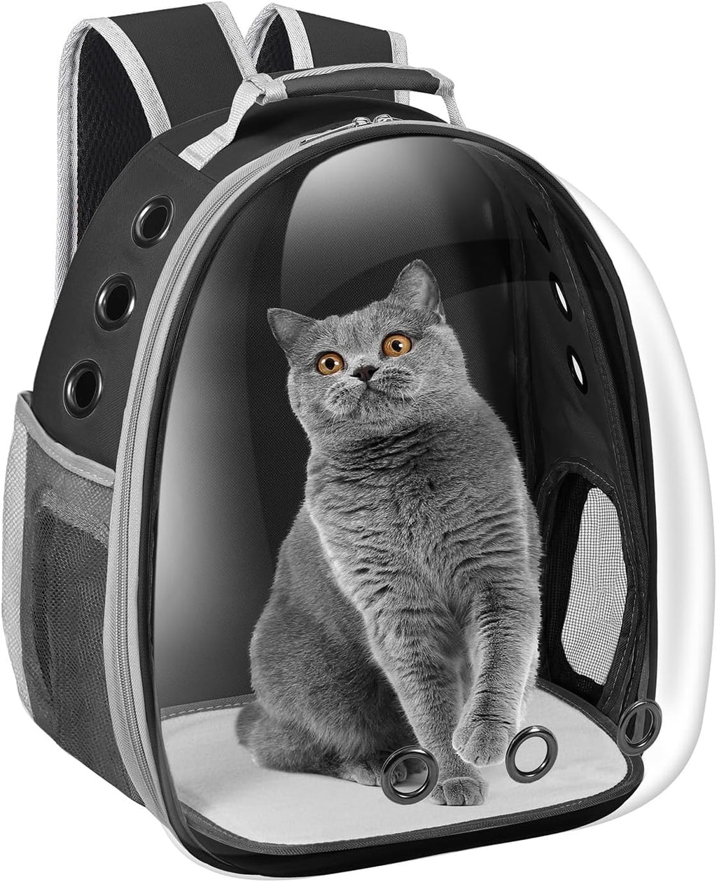 Bubble Window Pet Travel Backpack Carrier – Airline-Approved for Cats & Small Dogs