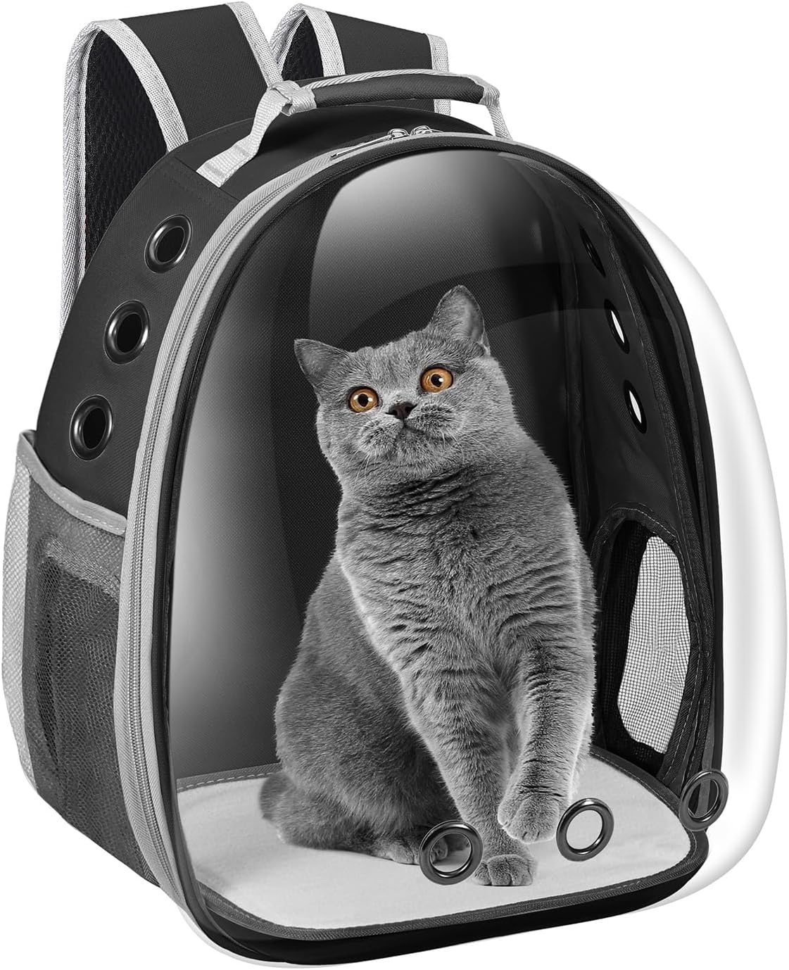 Bubble Window Pet Travel Backpack Carrier – Airline-Approved for Cats & Small Dogs