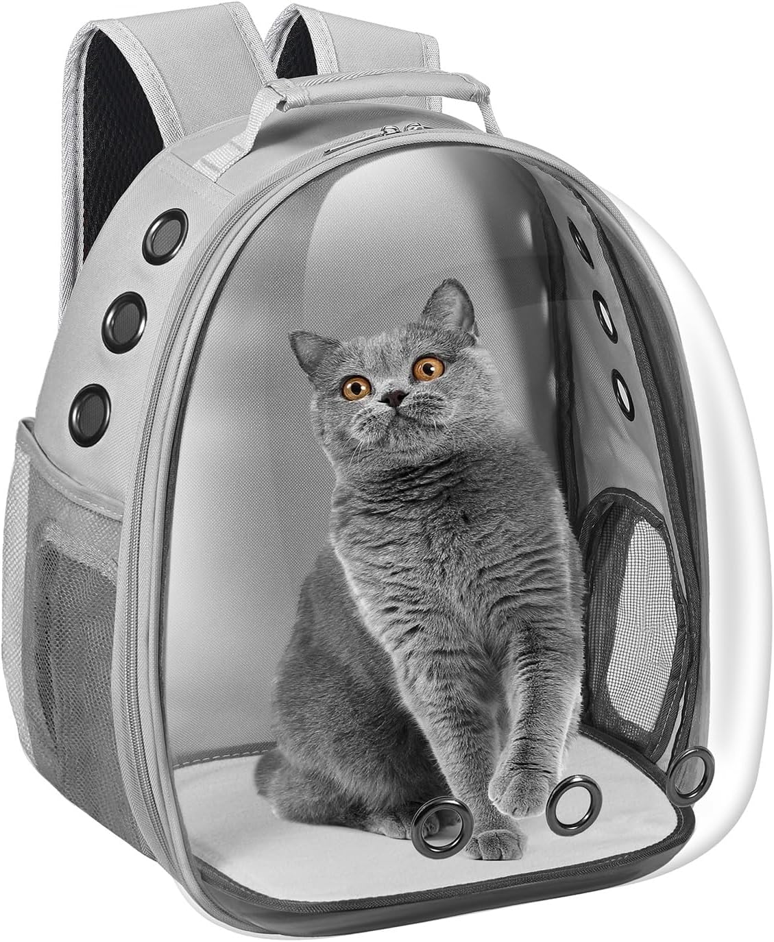 Bubble Window Pet Travel Backpack Carrier – Airline-Approved for Cats & Small Dogs