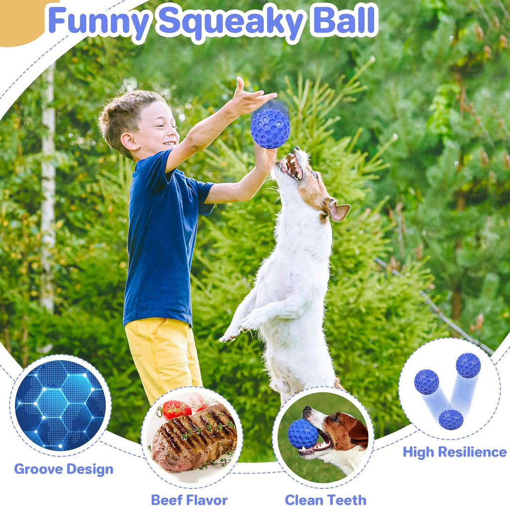 Indestructible Squeaky Dog Ball – Tough Chew Toy for Large Breeds & Aggressive Chewers