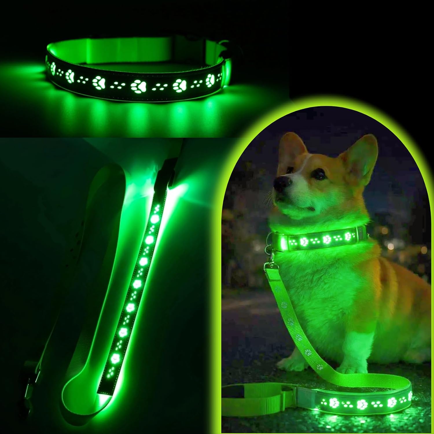 USB Rechargeable LED Dog Collar & Leash Set – Glow-in-the-Dark Night Safety Gear