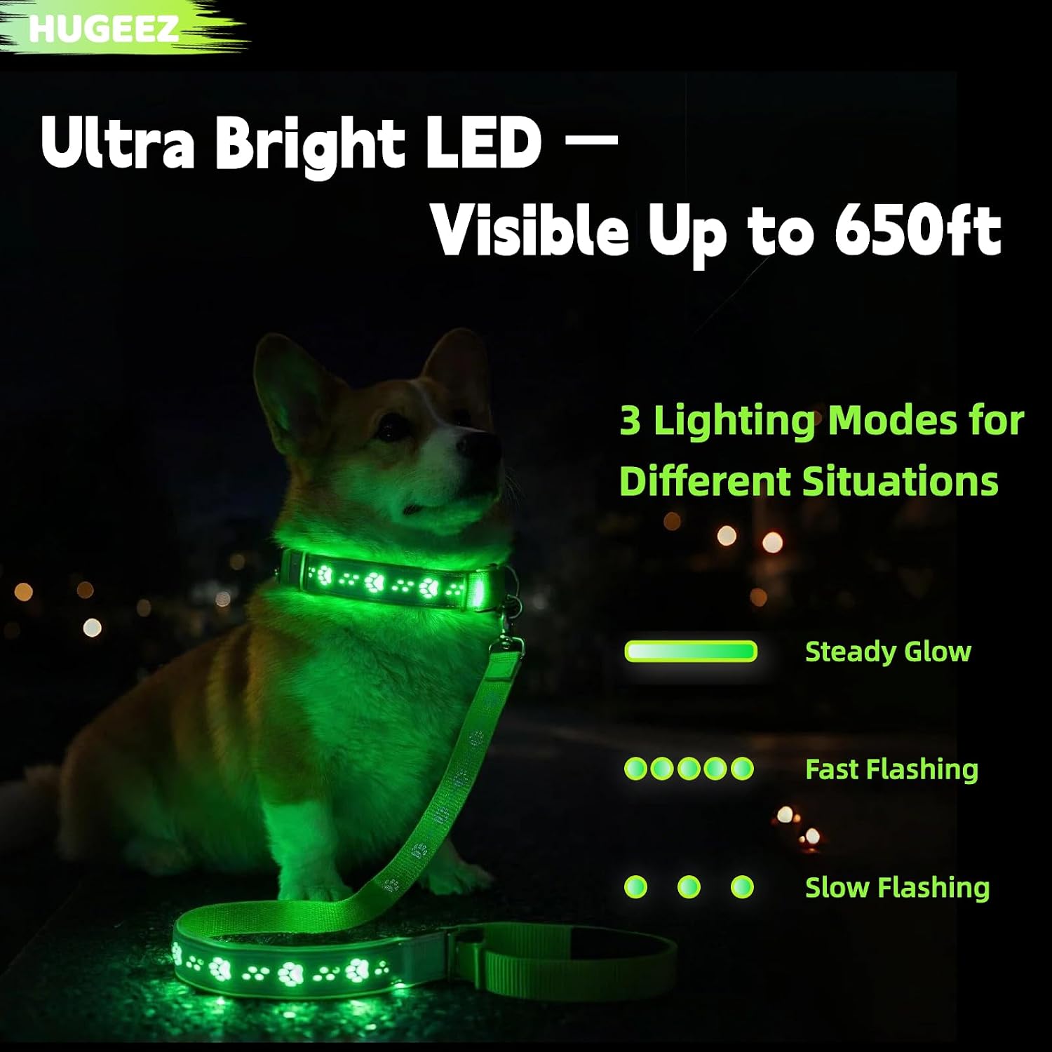 USB Rechargeable LED Dog Collar & Leash Set – Glow-in-the-Dark Night Safety Gear