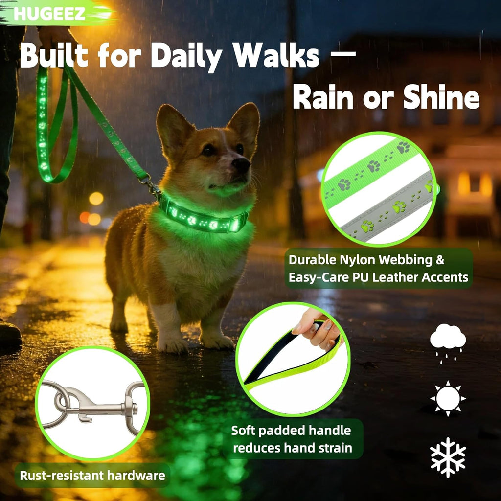 USB Rechargeable LED Dog Collar & Leash Set – Glow-in-the-Dark Night Safety Gear