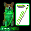 USB Rechargeable LED Dog Collar & Leash Set – Glow-in-the-Dark Night Safety Gear