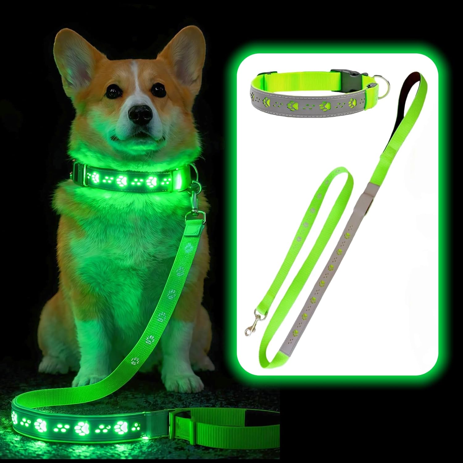 USB Rechargeable LED Dog Collar & Leash Set – Glow-in-the-Dark Night Safety Gear