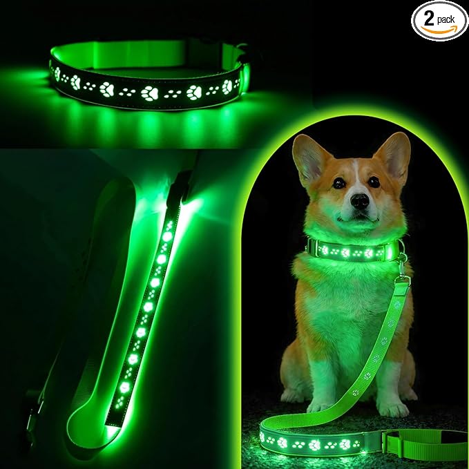 USB Rechargeable LED Dog Collar & Leash Set – Glow-in-the-Dark Night Safety Gear